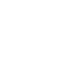 Professional Chimney Flue Installation in East Point, Georgia